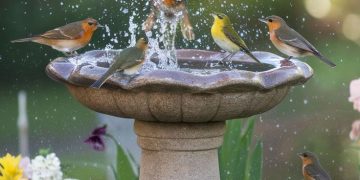 Jardines sonoros: cómo crear un oasis de sonido natural en tu casa