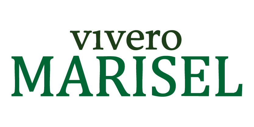 Marisel