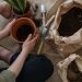 7 tips para cuidar tus plantas de interior en otoño