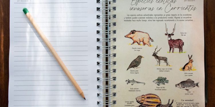 Encuentro Nacional de Grupo Jardín: Paisajismo, biodiversidad y un llamado urgente a repensar el vínculo con la naturaleza