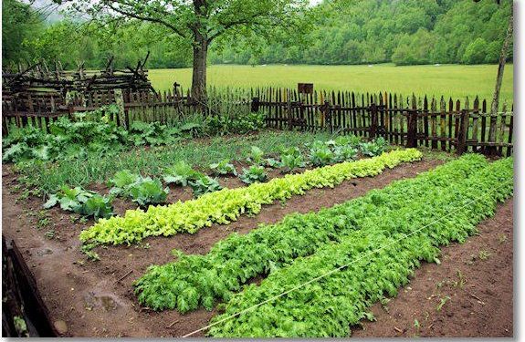 ¿Sabías que el suelo y las personas necesitan los mismos nutrientes?