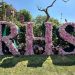 Chelsea Flower Show 2025: jardines que inspiran, charlas que transforman