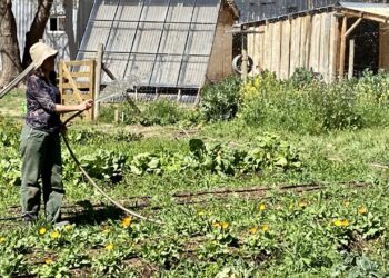 Otra que Heidi: En Río Negro se va a construir una villa agroecológica que aspira a ser una solución a la inseguridad rural y al suministro de alimentos sanos