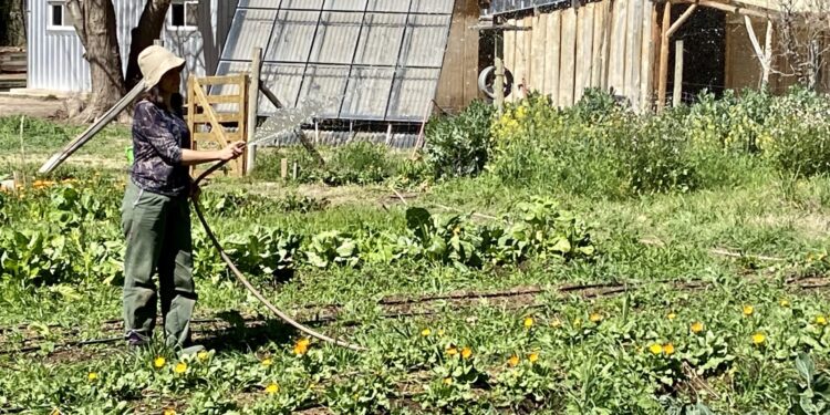 Otra que Heidi: En Río Negro se va a construir una villa agroecológica que aspira a ser una solución a la inseguridad rural y al suministro de alimentos sanos