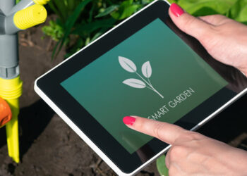 5 gadgets tecnológicos que te ayudan a cuidar las plantas (y a no olvidarte de regarlas)