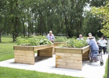 Cuando la naturaleza cuida: el poder de los jardines terapéuticos