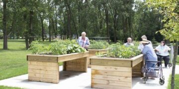 Cuando la naturaleza cuida: el poder de los jardines terapéuticos