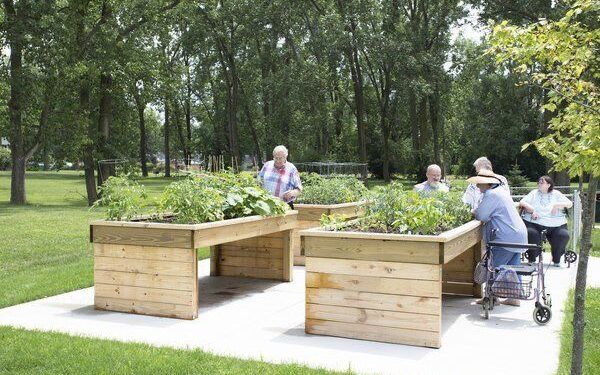 Cuando la naturaleza cuida: el poder de los jardines terapéuticos