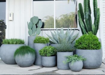 Macetas XXL: por qué son tendencia y cómo rellenarlas