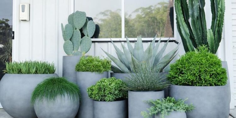 Macetas XXL: por qué son tendencia y cómo rellenarlas