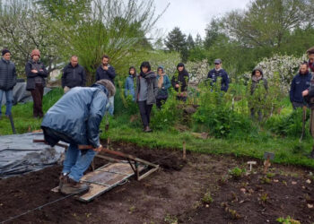 Fernando Pía explica qué es la “huerta biointensiva”, o el método que transforma el cultivo en abundancia sostenible