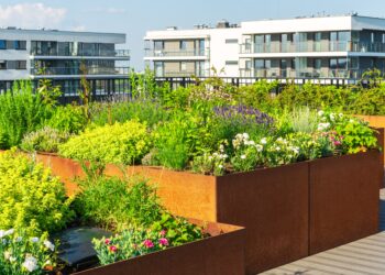 Terrazas verdes: un techo que florece