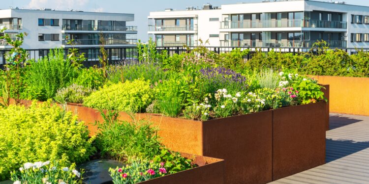 Terrazas verdes: un techo que florece