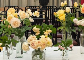 “Las rosas de mi jardín”: así se vivió la 1° Muestra de Rosas en Chivilcoy