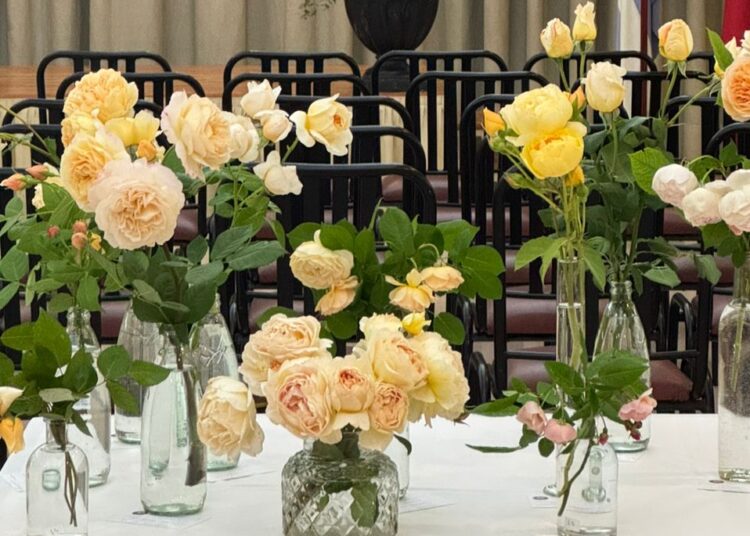 “Las rosas de mi jardín”: así se vivió la 1° Muestra de Rosas en Chivilcoy