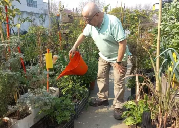 De electricista a huertero: una escalera, unos baldes y un sueño, una historia de resiliencia y raíces