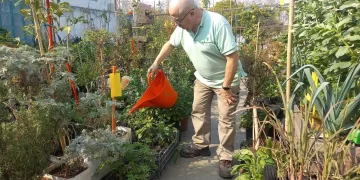 De electricista a huertero: una escalera, unos baldes y un sueño, una historia de resiliencia y raíces
