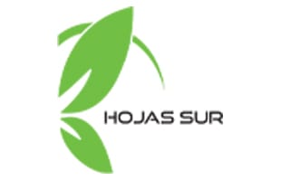 Hojas sur