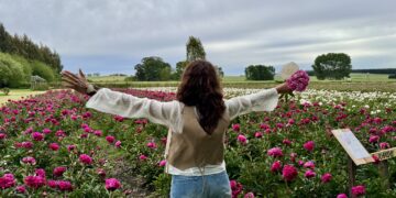Guía completa de peonías: 10 variedades irresistibles y todo lo que tenés que saber antes de cultivarlas