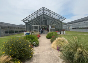INTA Floricultura: El futuro de la jardinería con plantas nativas y bajo mantenimiento