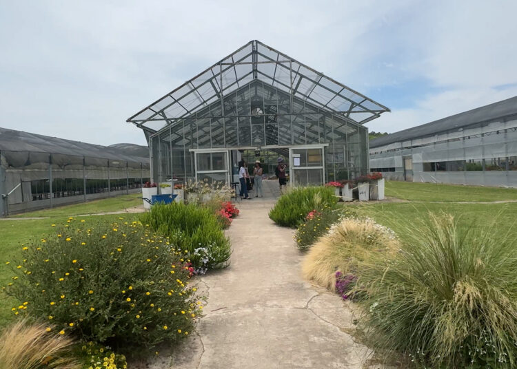 INTA Floricultura: El futuro de la jardinería con plantas nativas y bajo mantenimiento