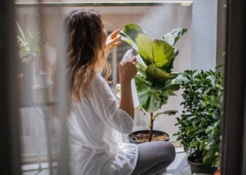 Cómo detectar estrés por calor en tus plantas (y qué hacer en cada caso)