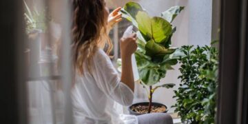 Cómo detectar estrés por calor en tus plantas (y qué hacer en cada caso)