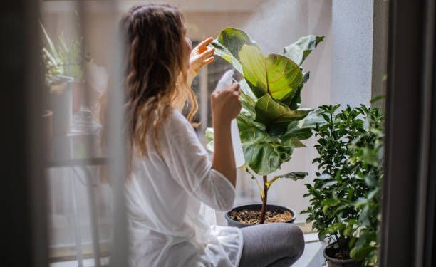 Cómo detectar estrés por calor en tus plantas (y qué hacer en cada caso)