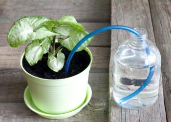 5 sistemas de riego para cuando te vas de vacaciones