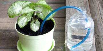 5 sistemas de riego para cuando te vas de vacaciones