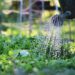 Riego en la huerta: claves de un experto para no fallar en verano
