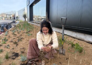 Sustrato técnico: una herramienta que crece en los jardines y que promete bajo mantenimiento
