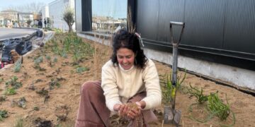 Sustrato técnico: una herramienta que crece en los jardines y que promete bajo mantenimiento