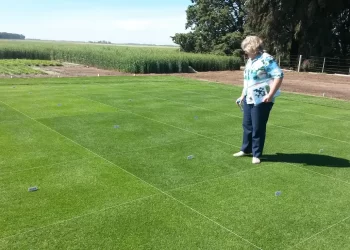 El Cencerro: de una decisión familiar en los años 50 al césped que sostiene las grandes canchas deportivas