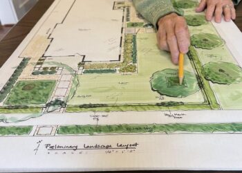 El paisaje real: Cómo las nativas pasan del ensayo al diseño de jardines