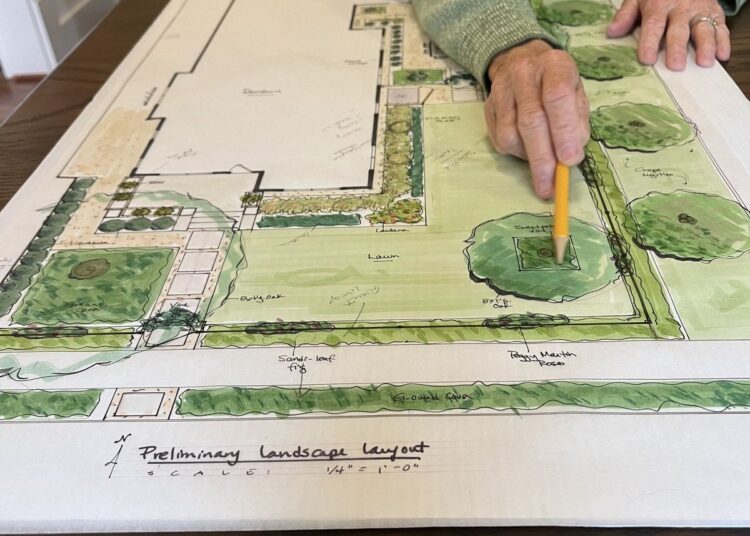 El paisaje real: Cómo las nativas pasan del ensayo al diseño de jardines