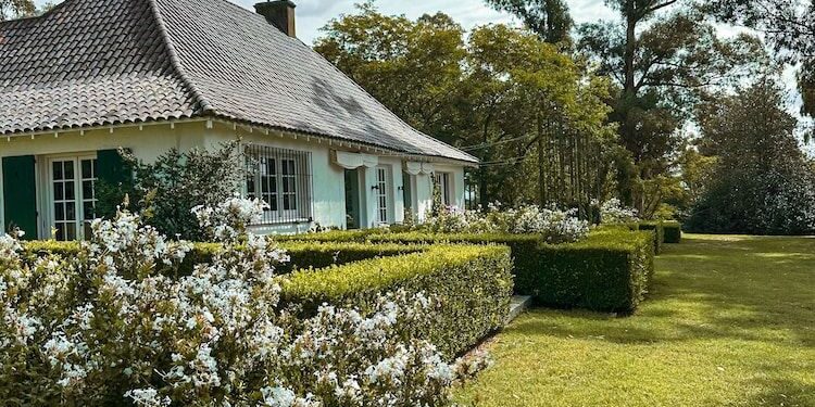 Los Acer palmatum de Estancia Ave María: Eduardo Staforini explica cómo lograrlos, fertilizarlos y mantenerlos