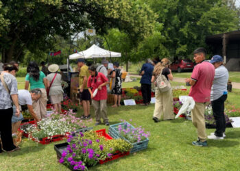 Estudiantes, nativas y calidad: El trabajo del INTA para mejorar lo que plantamos