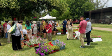 Estudiantes, nativas y calidad: El trabajo del INTA para mejorar lo que plantamos