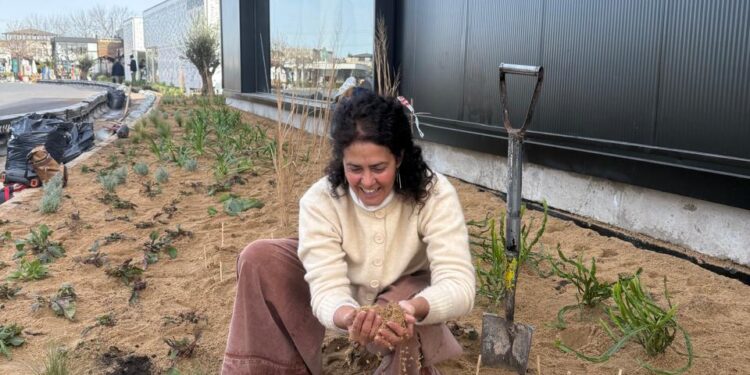 Sustrato técnico: qué es y cómo funciona