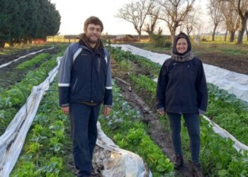 Marcos y Alejandra lograron volver al campo y allí viven un amor salpicado de huerta agroecológica, ganadería regenerativa y el placer de meter las manos en la tierra