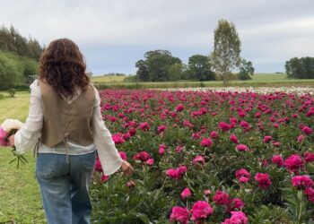 De Raíz en Tandil: Flowery Hills, del consultorio al campo para crear un oasis de peonías en las sierras
