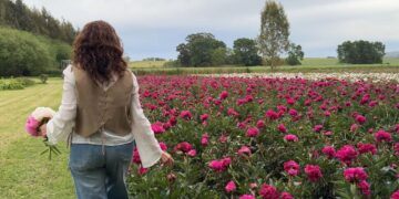 De Raíz en Tandil: Flowery Hills, del consultorio al campo para crear un oasis de peonías en las sierras