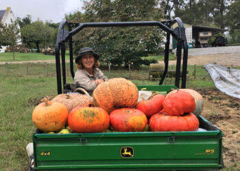 De Raíz en Tandil: En la estancia Ave María el jardín manda y la cocina respeta el ritmo de la naturaleza