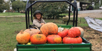 De Raíz en Tandil: En la estancia Ave María el jardín manda y la cocina respeta el ritmo de la naturaleza