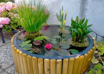 Mini estanques en casa: cómo sumar agua al jardín sin desperdiciar recursos