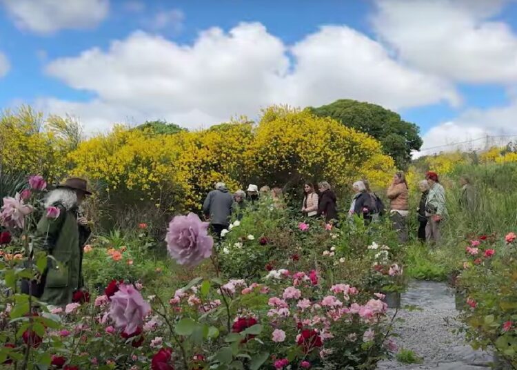 De Raíz en Tandíl: El refugio de Mingo donde los yuyos tienen permiso para expresarse