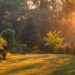 El “machete” de otoño: Checklist definitivo de tareas para expertos y principiantes del jardín