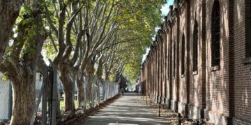 Paisajes esquizofrénicos: Una mirada crítica de Gabriel Burgueño