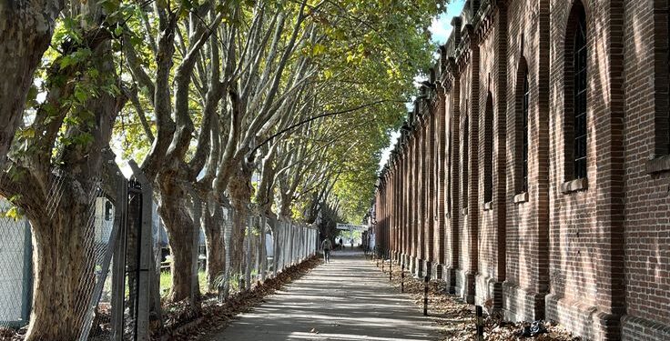 Paisajes esquizofrénicos: Una mirada crítica de Gabriel Burgueño